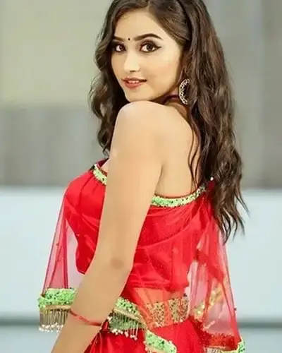 Escort In Brajarajnagar